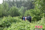 图为8月29日，廊坊广阳公安分局民警在南尖塔镇，民警在偏远小树林里控制的非法传销人员。　宋敏涛 摄 - 浙江新闻网