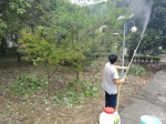 淳安威坪林业站开展“清洁家园、灭蚊防病”行动 - 林业厅