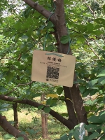 森博园内的珍稀树种有了二维码“身份证” - 林业厅