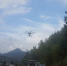 莲都区首次使用无人机开展森林病虫害监测 - 林业厅