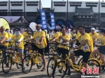 图为：参与骑行的“小黄车队”。　方堃 摄 - 浙江新闻网