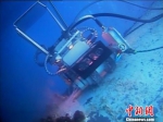 海生物清洗机器人的工作画面。　由校方提供 摄 - 浙江新闻网