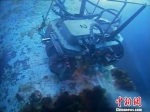 海生物清洗机器人的工作画面。　由校方提供 摄 - 浙江新闻网