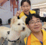 图为：志愿者兼领养人紫宸和他的宠物狗。 胡小丽 - 浙江新闻网