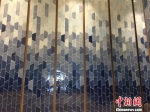 图为：国际会议中心大厅四周墙面不同深浅的蓝色瓷片。　方堃 摄 - 浙江新闻网