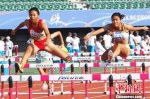女子100米跨栏。主办方提供 - 浙江新闻网