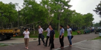 省林业厅到德清县开展“天然大树移植进城”督查工作 - 林业厅
