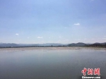 “清水养殖”的水域 兰成龙 摄 - 浙江新闻网