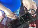 “养料”直达河蚌的装置 兰成龙 摄 - 浙江新闻网