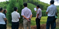 衢州市集体林权制度改革暨山林纠纷调处工作会在龙游召开 - 林业厅