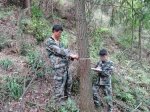 武义公益林抚育促进森林良性发展 - 林业厅