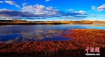 地处黄河源头的冬格措纳湖，湖水呈深蓝色，是玛多县第三大淡水湖，被当地藏族群众奉为“神湖”。金秋时节，红色的草滩与湖水相互映衬，仿佛油画一般。玛多县委宣传部供图 - 浙江新闻网