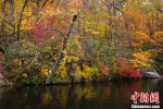 美国纽约州熊山公园的迷人秋色。 中新社记者 廖攀 摄 - 浙江新闻网