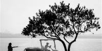 西湖白堤，秋日干燥，园林工作人员在给树木花草浇水。 记者 陈中秋 摄 - 浙江新闻网
