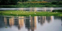 松阳松阴溪湿地公园列入省级湿地公园 - 林业厅