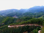 庆元楠木森林公园获批省级森林公园 - 林业厅
