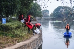 工作人员和志愿者在清理、打捞漂浮物和杂草 许旭 摄 - 浙江新闻网