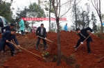 践行绿色发展之路 武义森林资源实现“四增长” - 林业厅