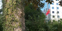 绍兴市越城区率先完成全区古树名木挂牌工作 - 林业厅