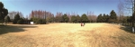 学士公园大草坪，欢迎大家来晒晒太阳。 湖滨管理处提供 - 浙江新闻网