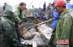 冬捕，既是一场渔业盛况，也是一种很有诗意的传统文化 姚海翔 摄 - 浙江新闻网