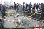 近百名渔民站在甲板上盯着网兜 姚海翔 摄 - 浙江新闻网