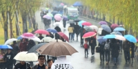 杭州冬雨连绵 "湿冷"模式开启 - 互联星空