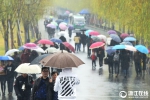 杭州冬雨连绵 "湿冷"模式开启 - 互联星空