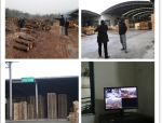 长兴县开展疫木定点加工企业专项监督检查 - 林业厅