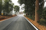 落实国有林场改革，安吉县龙山林场道路改造完工 - 林业厅