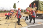 工作人员准备草垫等抗雪防冻物资。 - 浙江新闻网