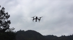 云和首次引入无人机对山场进行现场勘验 - 林业厅