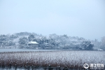 一夜风雪 杭州西湖美如画 - 互联星空