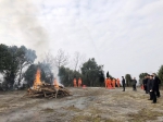 台州市路桥区开展森林消防实战演练 - 林业厅