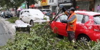 杭州：行道树枝被雪压断 环卫工人及时清理保畅通 - 互联星空
