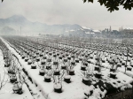 雪寒人心暖携手抗天灾 ——杭州市林科院深入一线指导防雪抗灾工作 - 林业厅