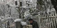 大雪期间杭州市林科院野外监测正常运转 - 林业厅