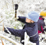 1月29日，桐庐县供电公司桐君供电所电力抢修人员徒步一个半小时进山抢修电力线路。 拍友 徐军勇 摄 - 浙江网