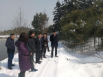 湖州市林业局到德清县指导雪灾后生产自救工作 - 林业厅