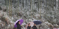 丽水市林业局到缙云县对抗冰冻灾害工作检查和技术指导 - 林业厅