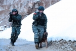 图为：特战队员在警犬带领下开展追击。 陈杰（通讯员） 摄 - 浙江新闻网