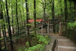 杭州“最美”的森林公园和湿地公园桐庐占20%！ - 林业厅