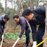 仙居县领导开展义务植树活动 - 林业厅