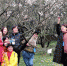 图为：一群市民正在与梅花合影。 柱子 摄 - 浙江新闻网