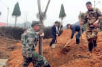开化县开展“上班第一天义务植树”活动 - 林业厅