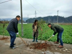 开化县开展“上班第一天义务植树”活动 - 林业厅