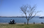 图为：两位游人正在西湖边欣赏风景。王刚 摄 - 浙江新闻网