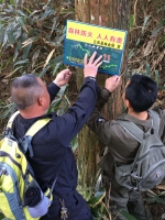 云和县林业局联合县登山协会走森林古道，宣传护林防火知识 - 林业厅