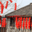 图为：村民家房前屋后均挂起了红火的元宵灯笼。 柱子 摄 - 浙江新闻网