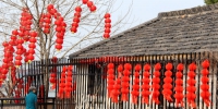 图为：村民家房前屋后均挂起了红火的元宵灯笼。 柱子 摄 - 浙江新闻网